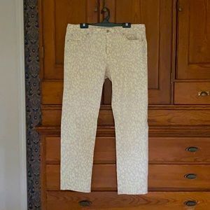 Ann Taylor Loft Modern Straight Print Stretch Jean